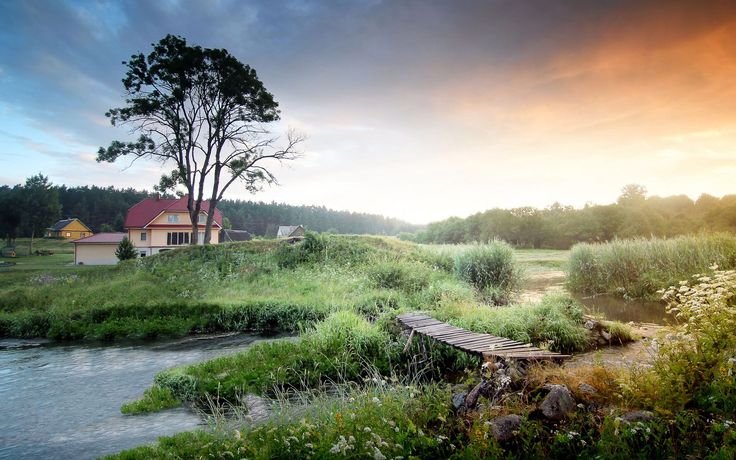Деревня Мегра Вологодская пейзаж