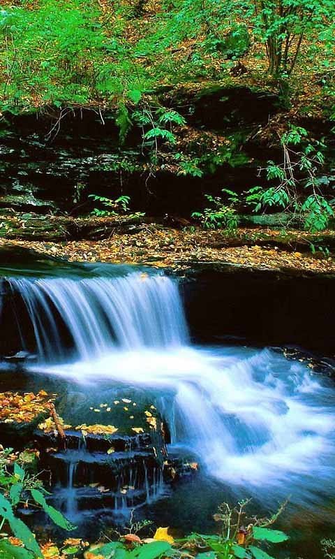 кнопочный телефон