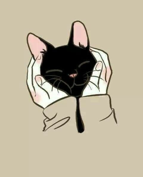 Аватарки с котиками