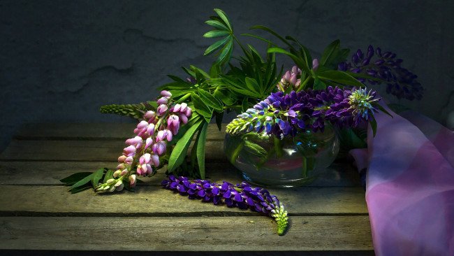 Люпины букет