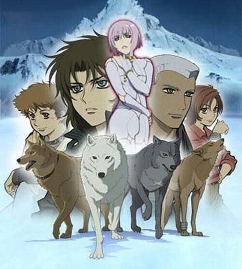 Волчий дождь Тобоэ