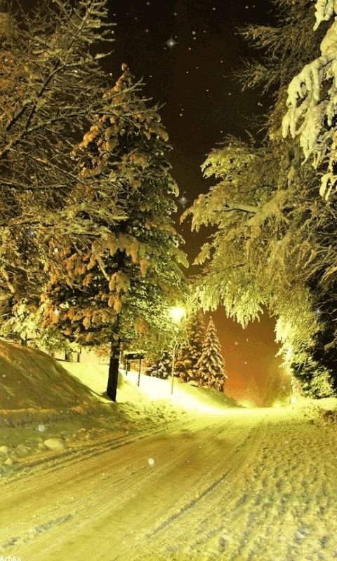 Новогодний пейзаж