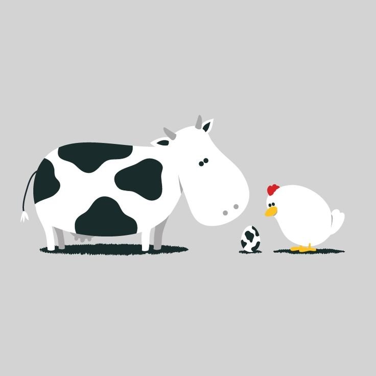 Обои с изображением коровы