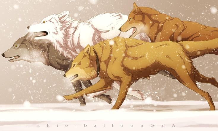 Аниме Киба Волчий дождь волк драка