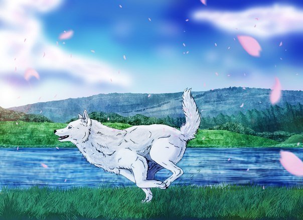 Волчий дождь волки