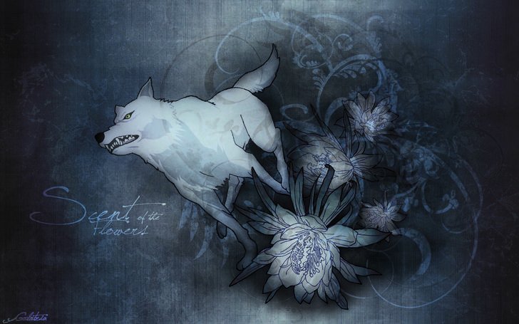 Киба Волчий дождь арт