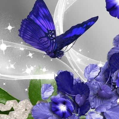 Бабочки в цветах