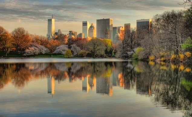 Центральный парк Нью-Йорка фото