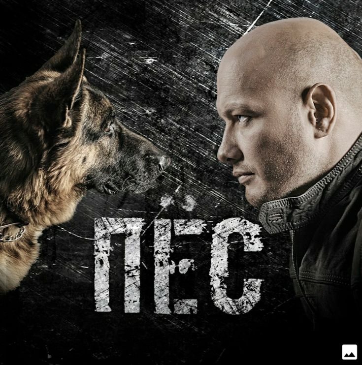 Максим Максимов сериал пес