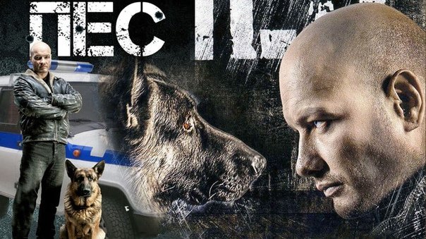 Никита Панфилов в сериале пес