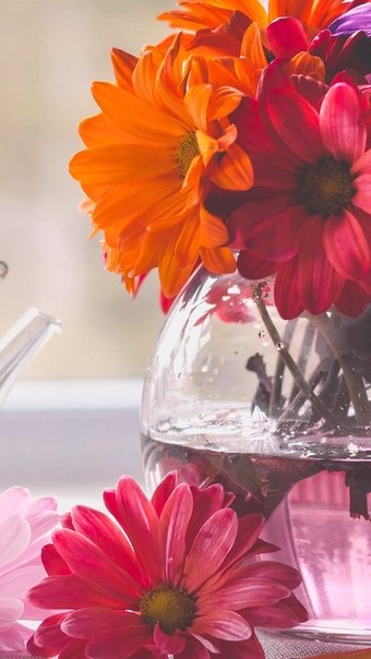 Цветы в вазе