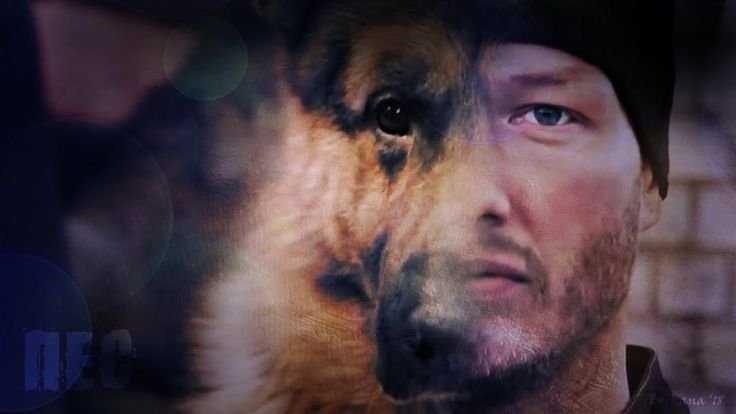 Никита Панфилов в сериале пес