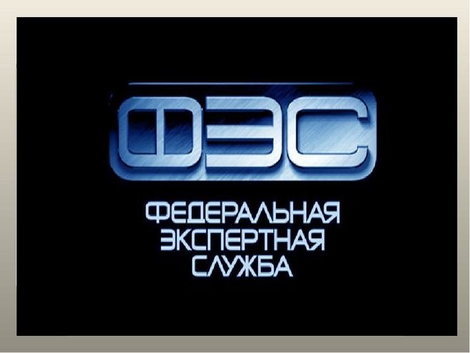 Федеральная экспертная служба логотип
