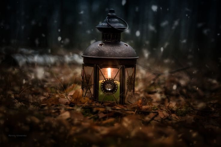 Фонарь в лесу