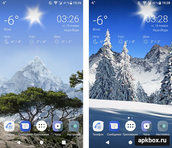 живая погода