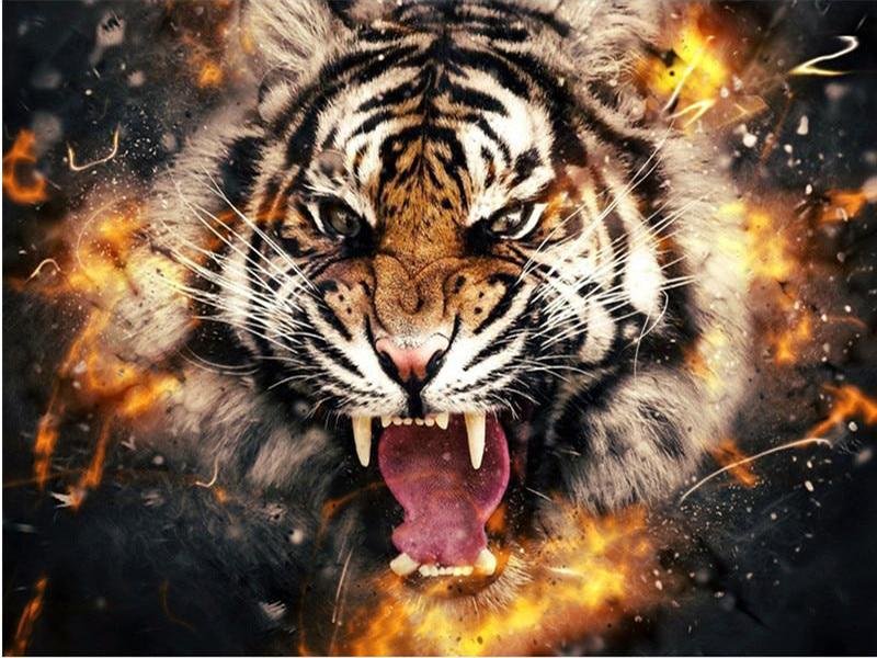 Тайгер тигр