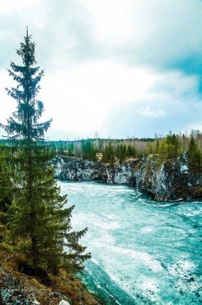 Природа Карелии летом