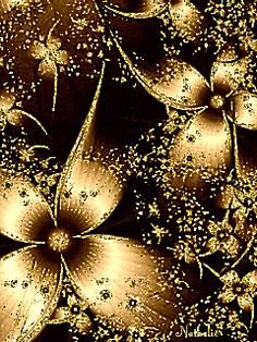 Золотистые цветы живые