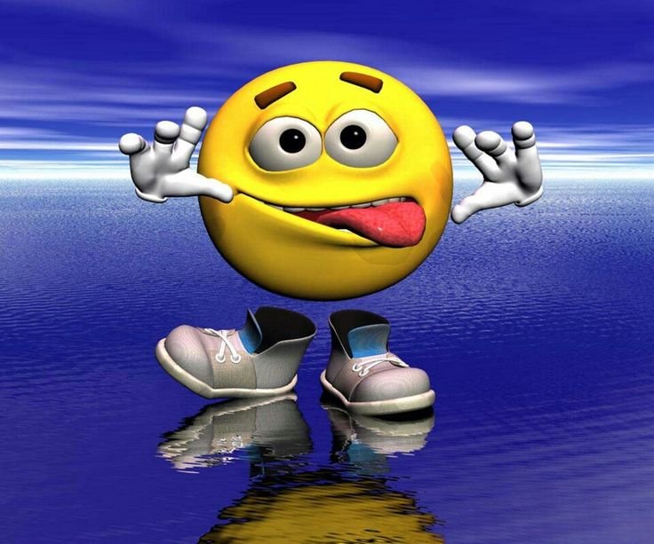 Смешные заставки на телефон