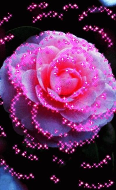 Блестящие розы