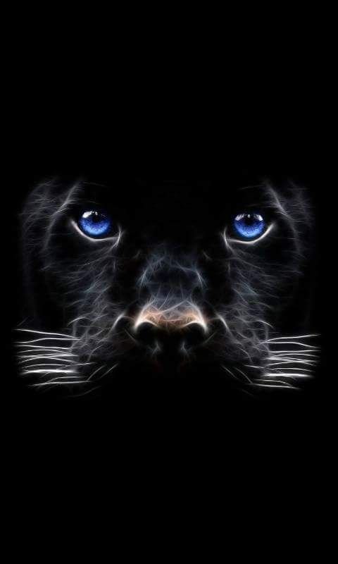 Глаза черной пантеры