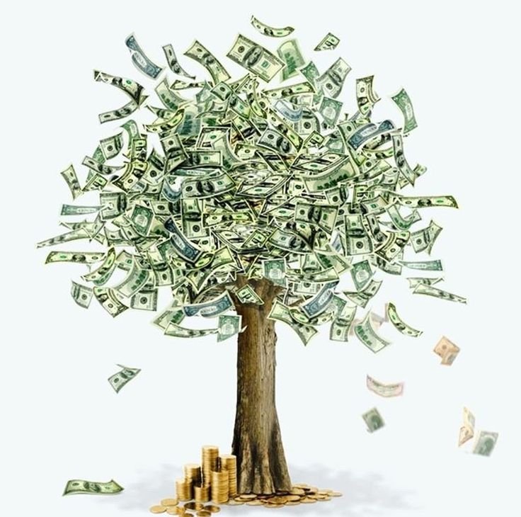 Денежное дерево с деньгами