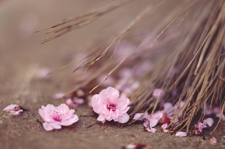 Нежные цвета