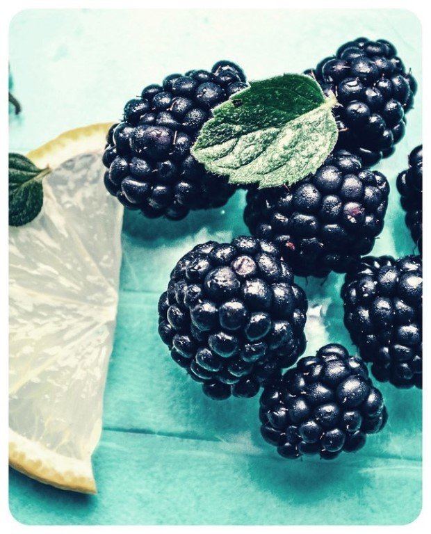 Ежевика картинки красивые