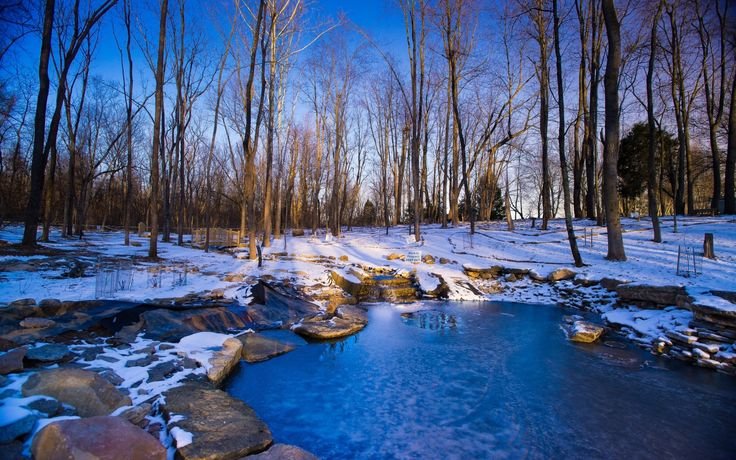 Красивая ранняя Весна