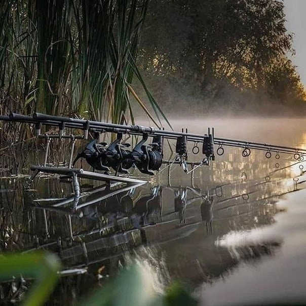 Карпфишинг красивые