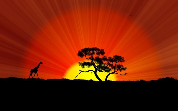 Силуэт на фоне солнца