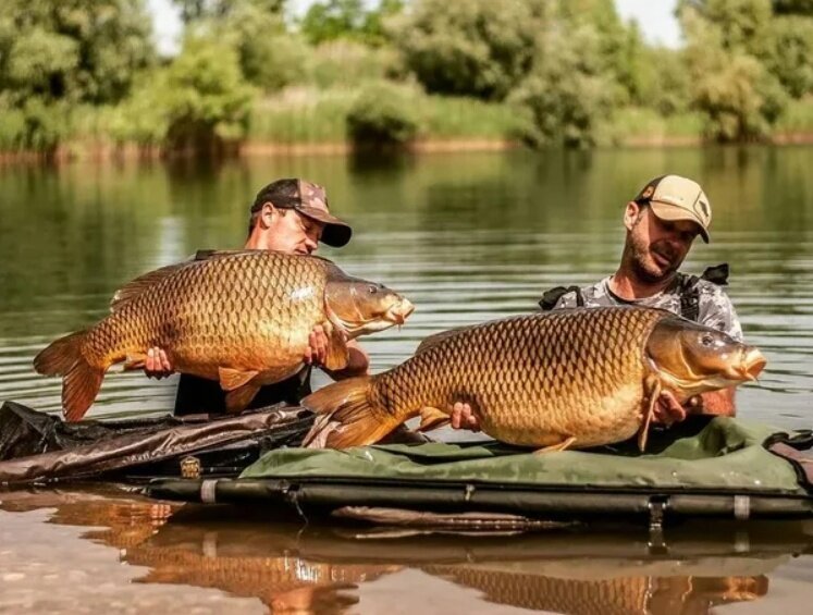 Озеро карпятник Павловский Посад