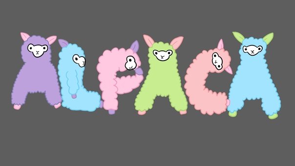 Альпака Минимализм