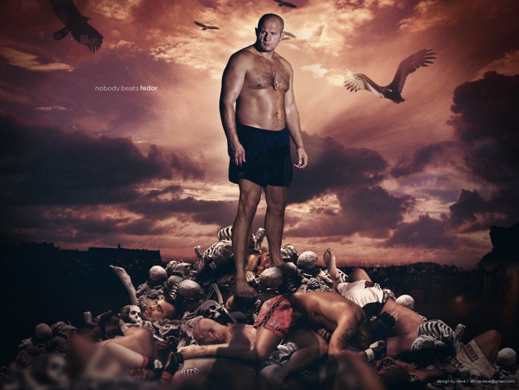 Фёдор Емельяненко ММА арт