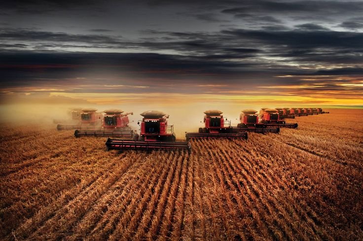 Комбайн в поле