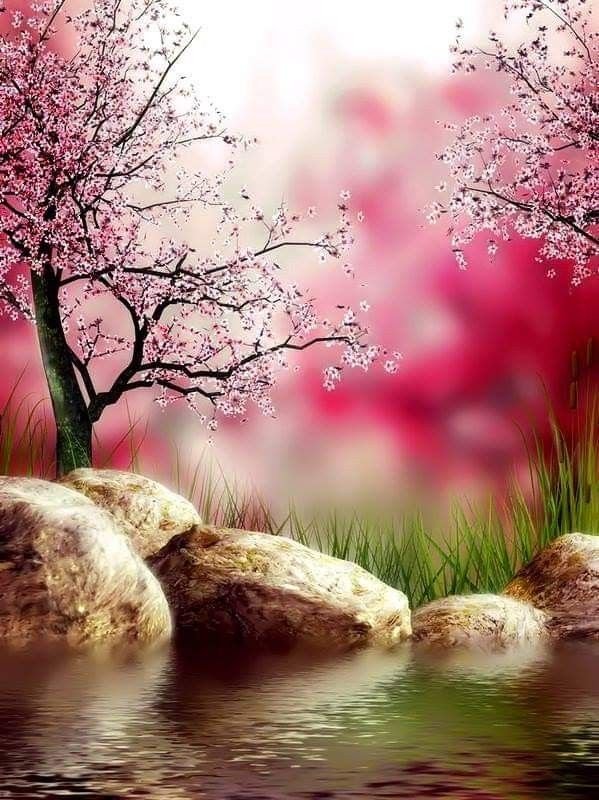 Красивые пейзажи весны