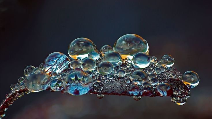 Макросъемка воды