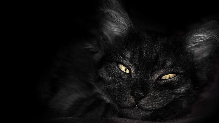 Темные обои