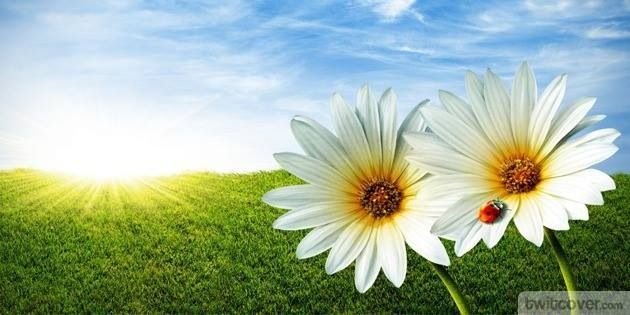 Обложка на страничку