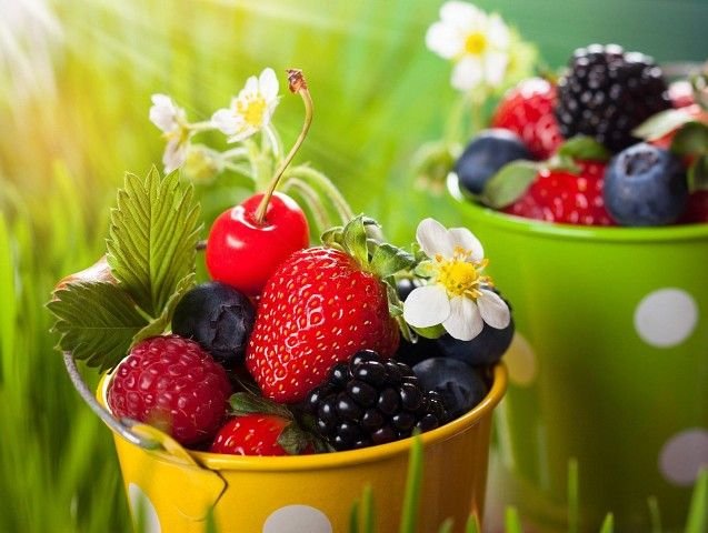 Красивые ягоды