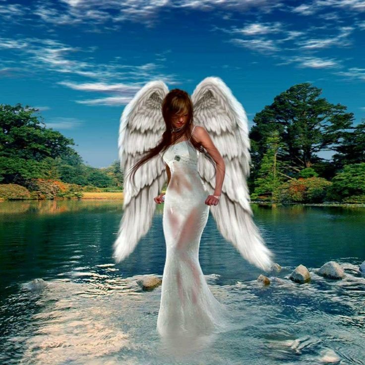 Обои на телефон ангел