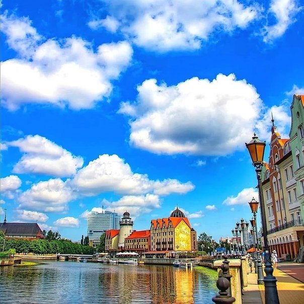 Любимый город Калининград