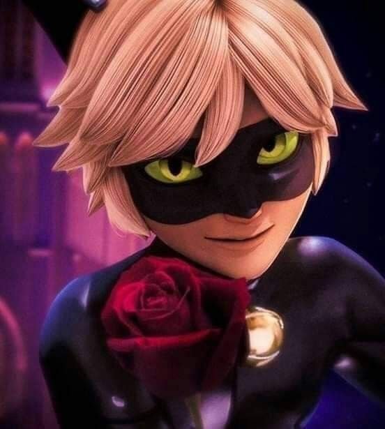 Адриан Агрест с розами