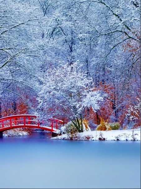 Фотообои зима