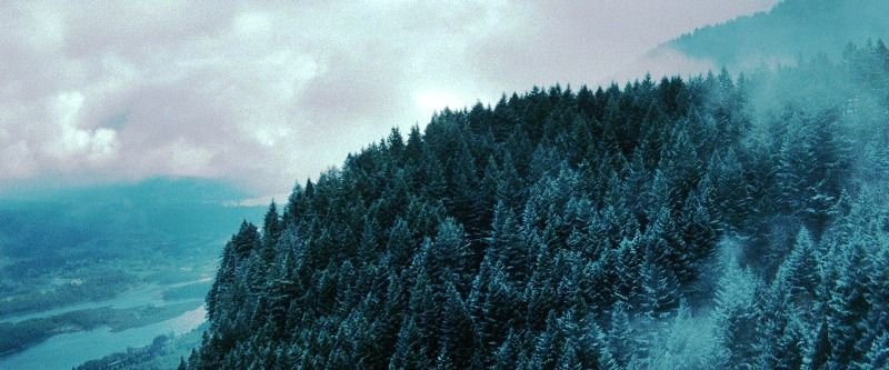 Форкс Сумерки Эстетика