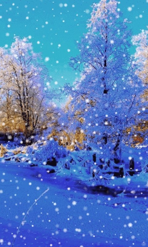 Зимушка зима