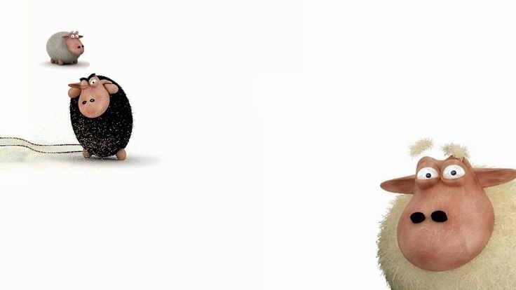Овечки фон