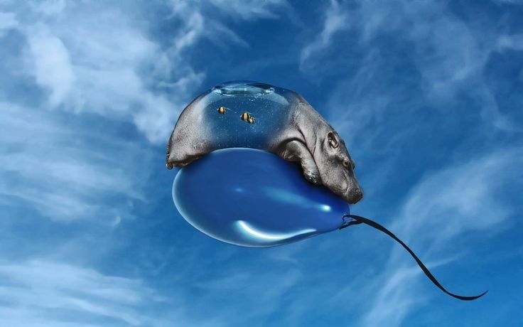 Летучий Бегемот