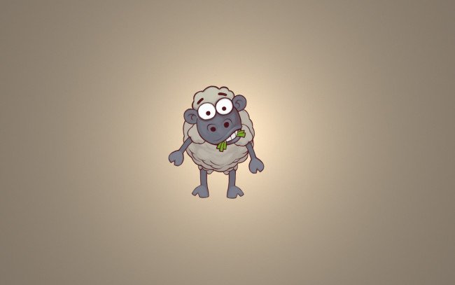 Барашек Минимализм