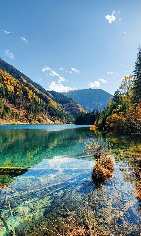 Природа вертикальные